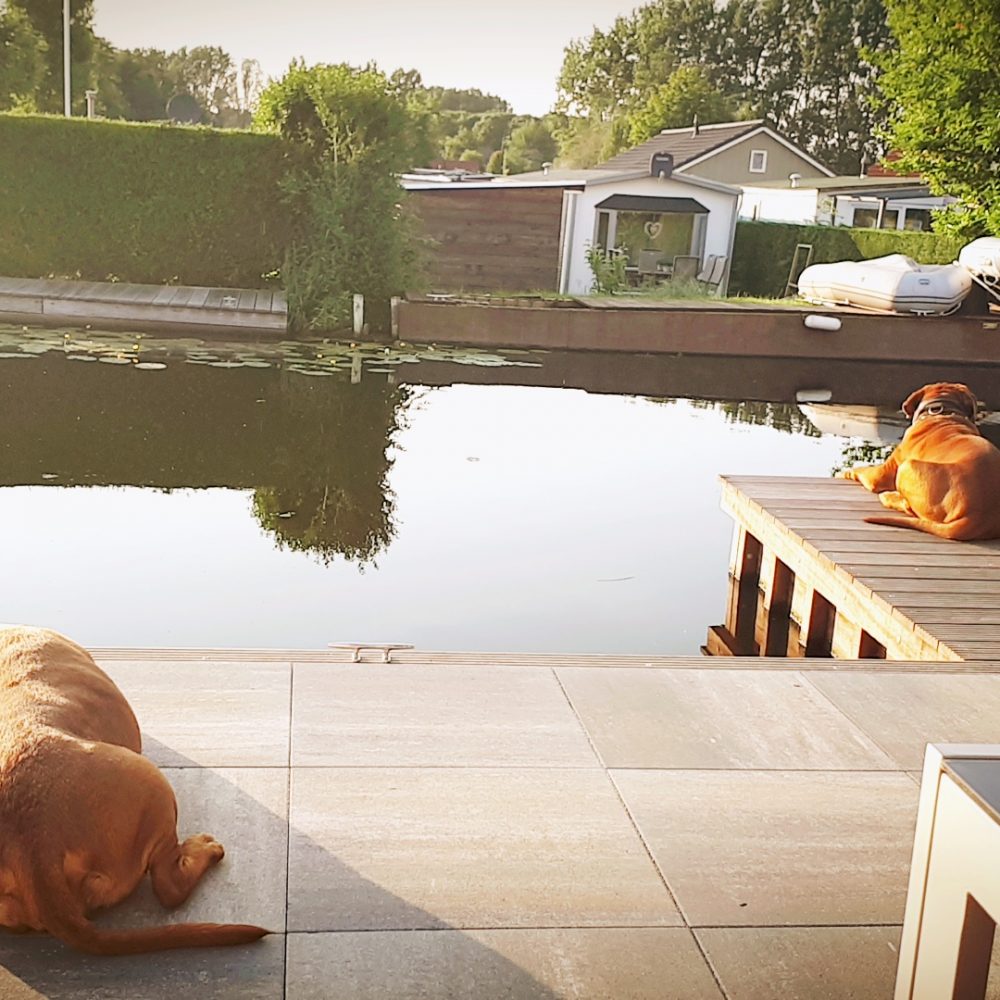 IMG_20190614_203443788