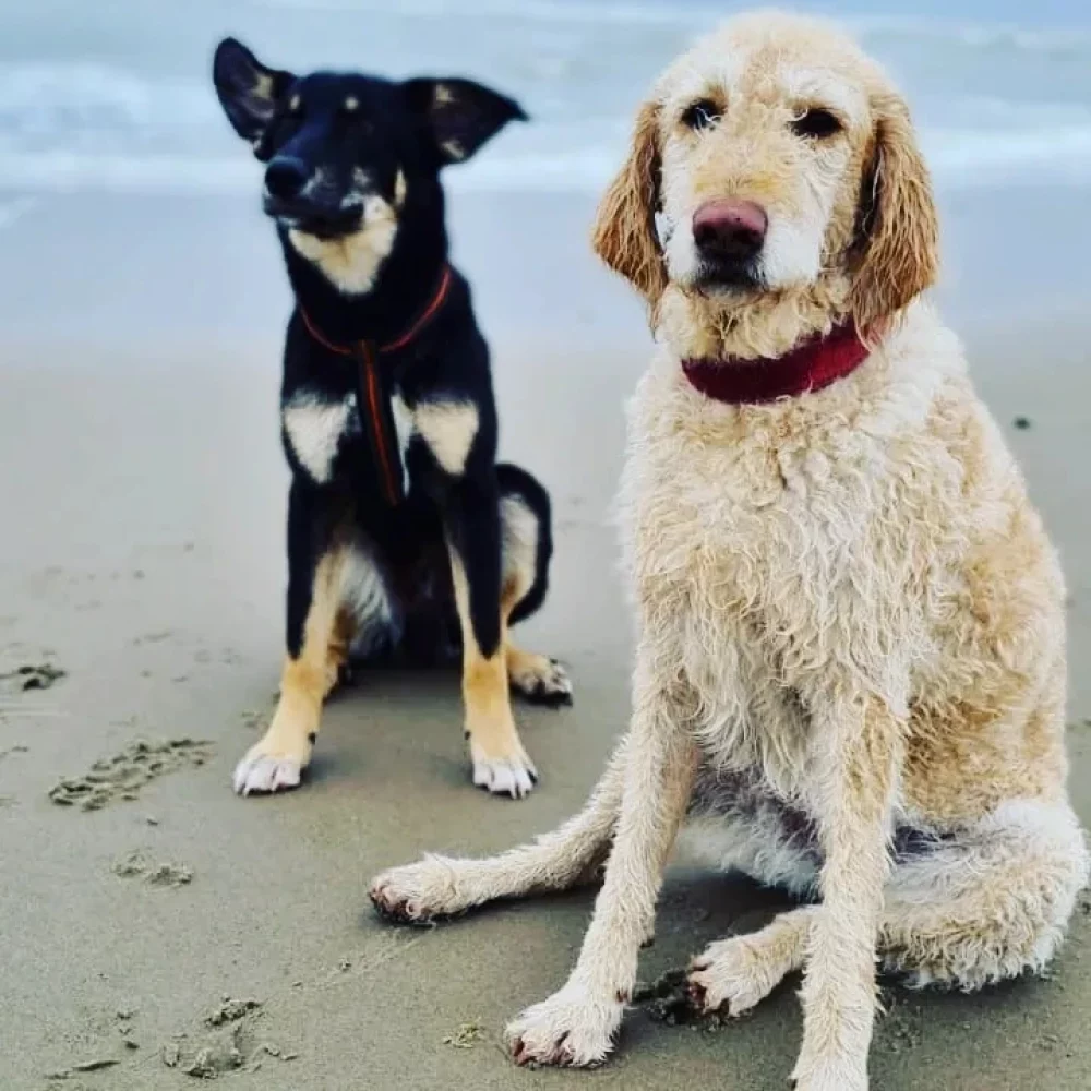 IMG_20220411_094749_412