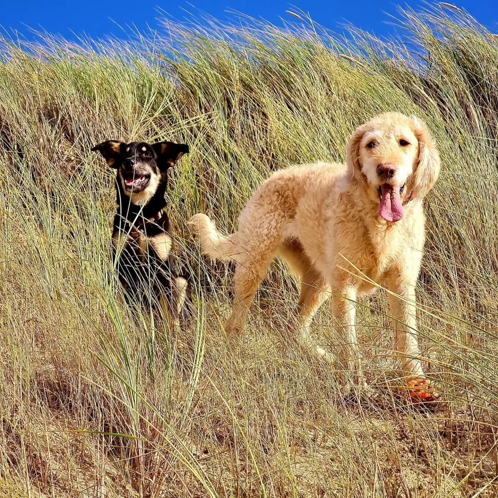 IMG_20220411_094749_678